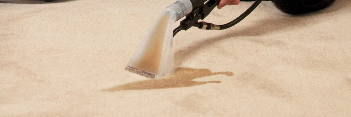 Carpet Cleaners