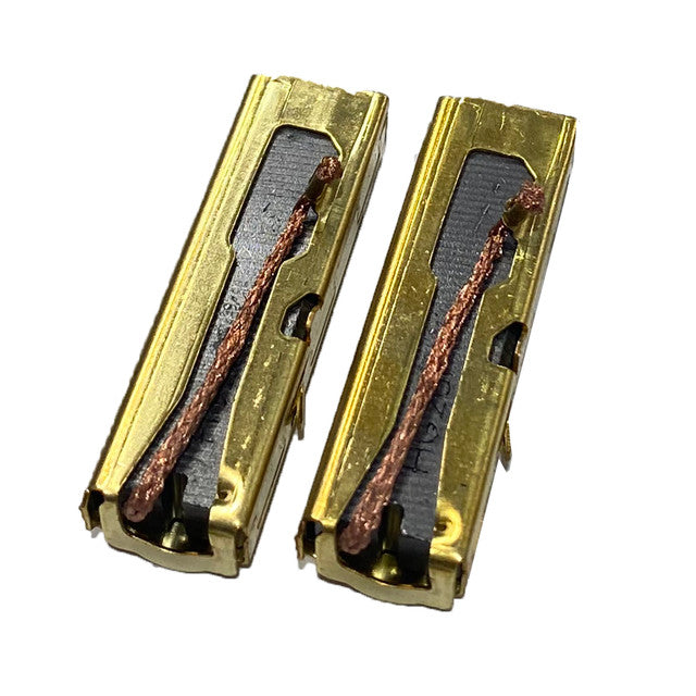 Nilfisk - 107417399 - CARBON BRUSH ASSY KIT 2 PCS 110-120V