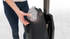 Numatic 244NX-RC ReFlo Compact Scrubber Dryer