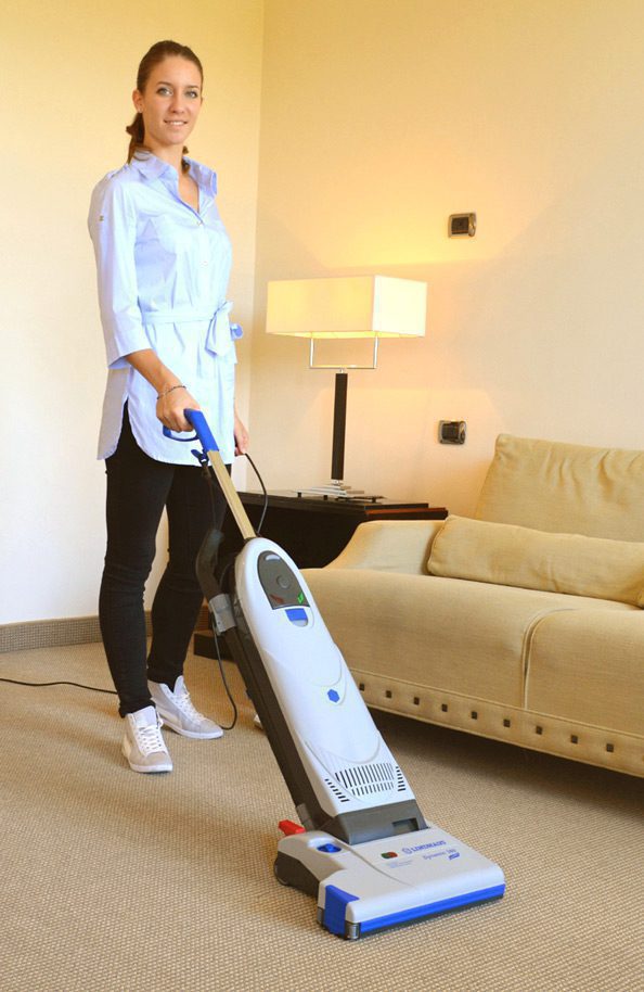 Lindhaus Dynamic 380 Upright Vacuum Cleaner
