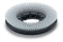 Numatic TTA26B 330mm NyloScrub Shampoo Brush