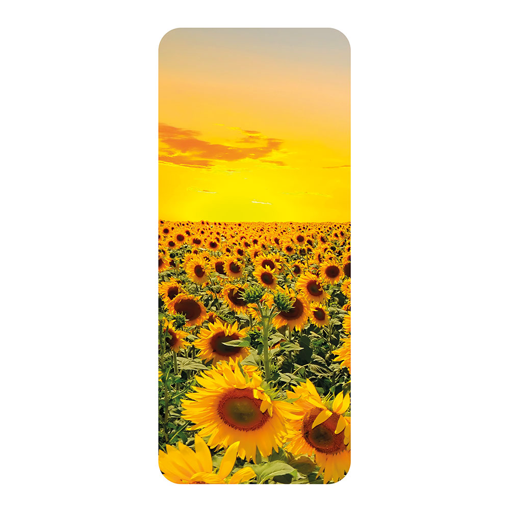 Numatic SRK29 Sunflowers Door Graphic Set – 908174