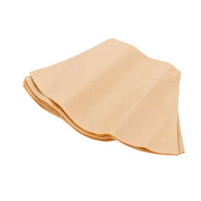 Truvox - 92-0012-0000 - Disposable paper dust bag (pack of 10) ~ fits VBPRO ~  valet backpack pro