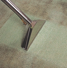 Prochem Steempro Powerflo Carpet & Upholstery Cleaner