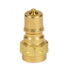 Prochem - GU00104 - BRASS PLUG (MALE)1/4F  (A00104)