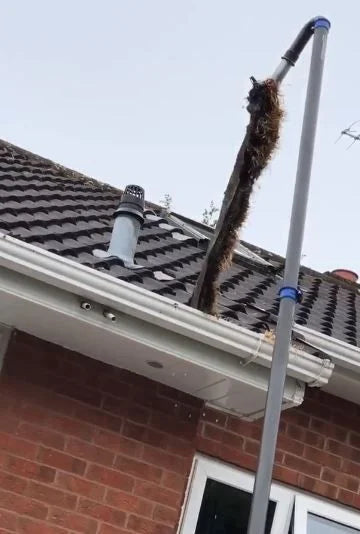 SkyVac Elite 1.5m High Reach Vacuum Pole